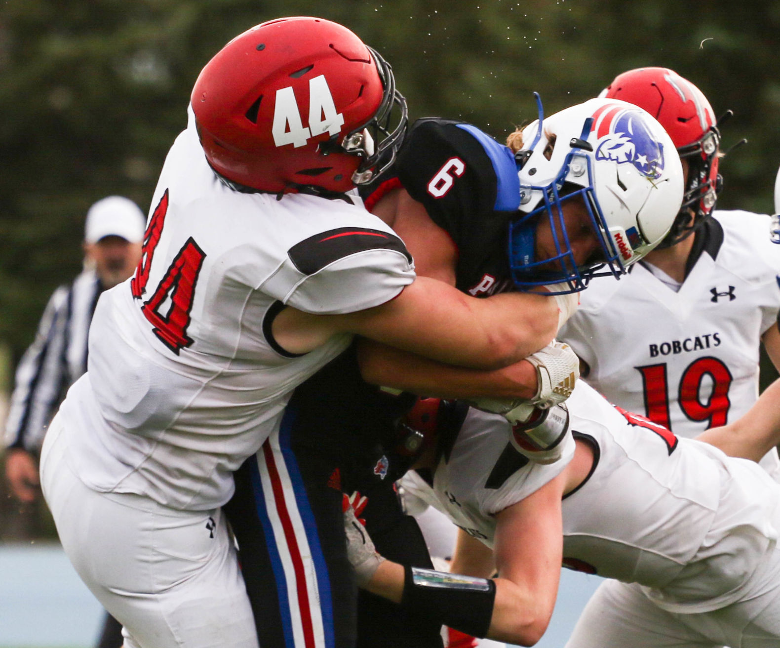 Douglas vs Brookings